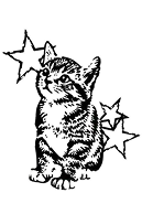 gato con estrellas